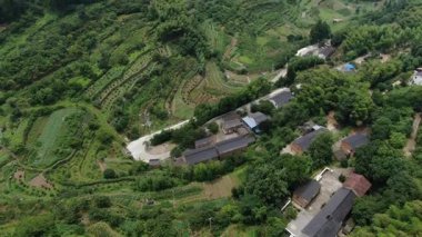 Çin 'in Hangzhou ilçesindeki kırsal bölge manzarası. Yüksek kalite 4k görüntü