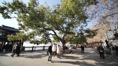 Batı Gölü kıyılarında korunmuş tarihi güzellik. Yüksek kalite 4k görüntü