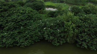 Xianghu Gölü Hangzhou Çin 'in doğal manzarası. Yüksek kalite 4k görüntü
