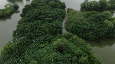 Xianghu Gölü Hangzhou Çin 'in doğal manzarası. Yüksek kalite 4k görüntü