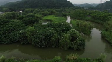 Xianghu Gölü Hangzhou Çin 'in doğal manzarası. Yüksek kalite 4k görüntü