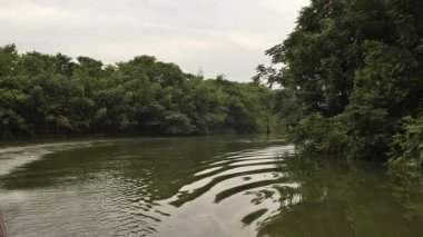 Bataklıklarda kayıkla gezerken görülen manzara, Shaoxing Zhejiang China. Yüksek kalite 4k görüntü