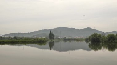 Bataklıklarda kayıkla gezerken görülen manzara, Shaoxing Zhejiang China. Yüksek kalite 4k görüntü