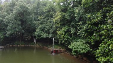 Tonglu, Hangzhou Zhejiang bölgesi Çin 'in yemyeşil ormanları arasında güzel, uzun bir şelale. Yüksek kalite 4k görüntü