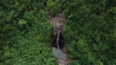 Tonglu, Hangzhou Zhejiang bölgesi Çin 'in yemyeşil ormanları arasında güzel, uzun bir şelale. Yüksek kalite 4k görüntü