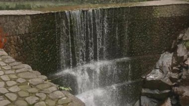 Nehir akan ormanın doğal manzarası, Tonglu ilçesi, Hangzhou Zhejiang. Yüksek kalite 4k görüntü