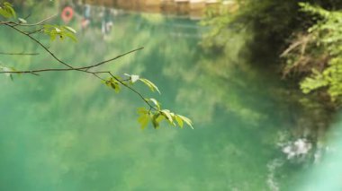 Nehir akan ormanın doğal manzarası, Tonglu ilçesi, Hangzhou Zhejiang. Yüksek kalite 4k görüntü