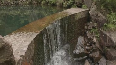 Nehir akan ormanın doğal manzarası, Tonglu ilçesi, Hangzhou Zhejiang. Yüksek kalite 4k görüntü