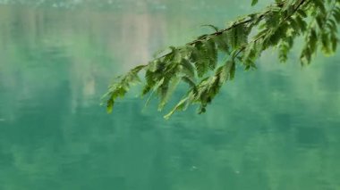 Yağmur damlaları yağmurlu bir yaz gününde sakin mavi bir gölette dalgalı desenler oluşturur. Yüksek kalite 4k görüntü