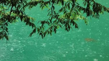 Yağmur damlaları yağmurlu bir yaz gününde sakin mavi bir gölette dalgalı desenler oluşturur. Yüksek kalite 4k görüntü