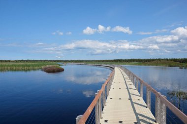 Kanada Prensi Edward adasındaki gölde tahta yol..