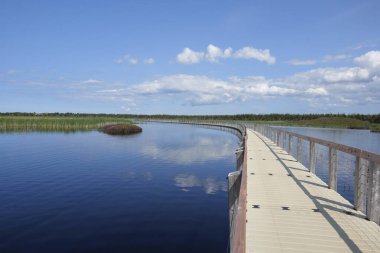 Kanada Prensi Edward adasındaki gölde tahta yol..