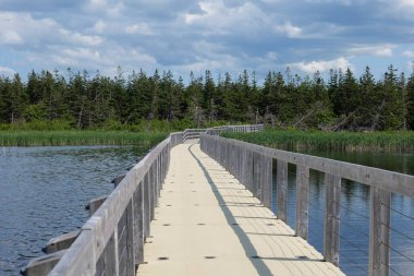 Kanada Prensi Edward adasındaki gölde tahta yol..