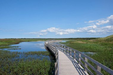 Kanada Prensi Edward adasındaki gölde tahta yol..