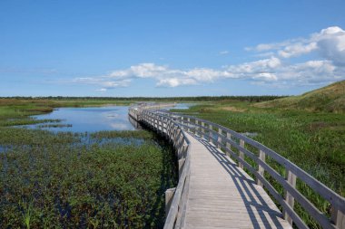 Kanada Prensi Edward adasındaki gölde tahta yol..