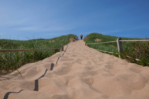 pathway through dunes to the beach of prince edward island Canada. High quality photo