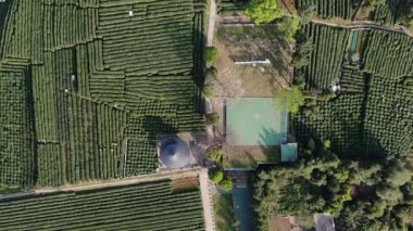 Çin 'in Hangzhou Zhejiang bölgesindeki batı gölü yakınlarındaki çay tepesinin ve köylerin havadan görüntüsü. Yüksek kalite 4k görüntü