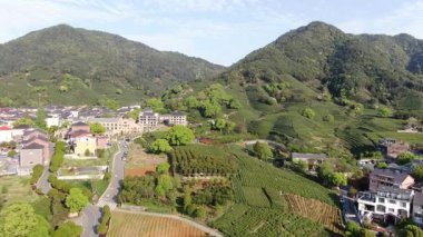 Çin 'in Hangzhou Zhejiang bölgesindeki batı gölü yakınlarındaki çay tepesinin ve köylerin havadan görüntüsü. Yüksek kalite 4k görüntü