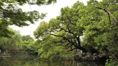 Batı Gölü kıyılarında korunmuş tarihi güzellik. Yüksek kalite 4k görüntü