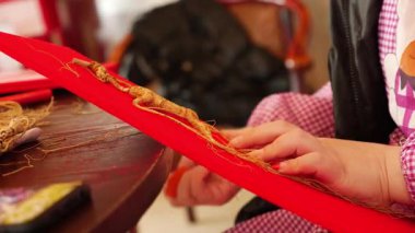 Kuzeydoğu Çinli çiftçiler ginseng işliyorlar. Yüksek kalite 4k görüntü