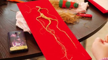 Kuzeydoğu Çinli çiftçiler ginseng işliyorlar. Yüksek kalite 4k görüntü