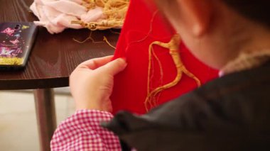 Kuzeydoğu Çinli çiftçiler ginseng işliyorlar. Yüksek kalite 4k görüntü