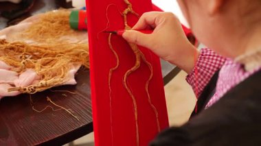Kuzeydoğu Çinli çiftçiler ginseng işliyorlar. Yüksek kalite 4k görüntü