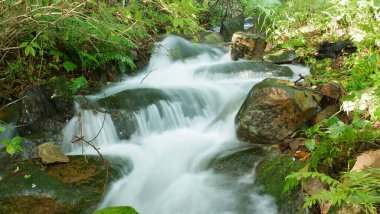 Changbai Dağı 'nın içindeki doğal manzara, kuzey doğu Çin' de ormanın içinde akarsu var.