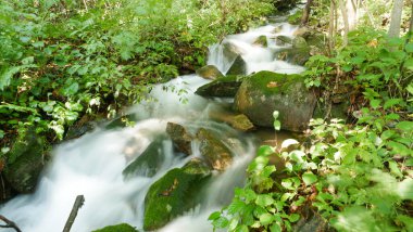 Changbai Dağı 'nın içindeki doğal manzara, kuzey doğu Çin' de ormanın içinde akarsu var.