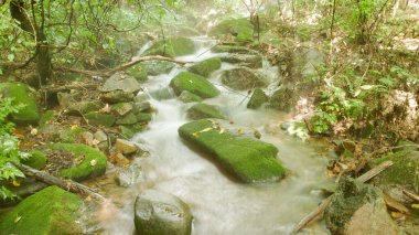 Changbai Dağı 'nın içindeki doğal manzara, kuzey doğu Çin' de ormanın içinde akarsu var.