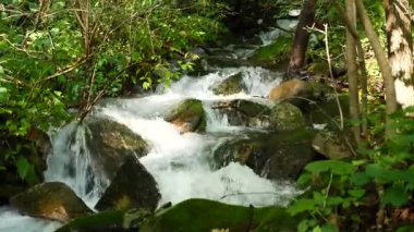 Changbai Dağı 'nın içindeki doğal manzara, kuzey doğu Çin' de ormanın içinde akarsu var.