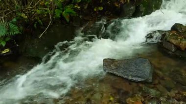 Changbai Dağı 'nın içindeki doğal manzara, kuzey doğu Çin' de ormanın içinde akarsu var.