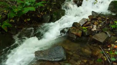 Changbai Dağı 'nın içindeki doğal manzara, kuzey doğu Çin' de ormanın içinde akarsu var.