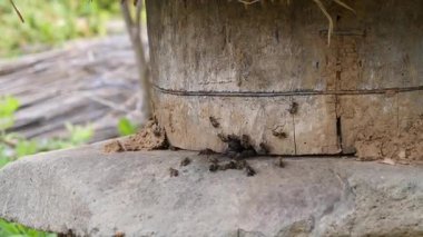 Kuzeydoğu Çin 'de arıcılık için geleneksel ahşap arı kovanları kullanılıyor.