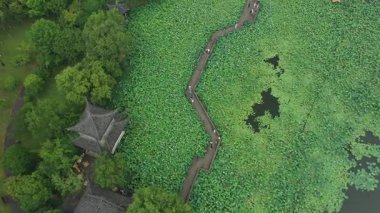 Xianghu Gölü Hangzhou Çin 'deki Nilüfer Göleti' nin havadan görünüşü. Yüksek kalite 4k görüntü