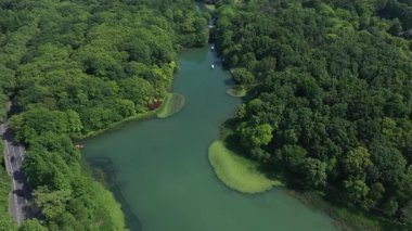 Batı Gölü, Hangzhou, Çin 'deki doğal manzara ve tekne manzarası. Yüksek kalite 4K görüntü. Yüksek kalite 4k görüntü