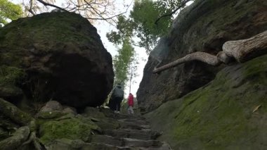 Hangzhou 'daki Batı Gölü yakınlarındaki tepelerde ormanların ve bambu koruluklarının doğal manzarasında bir yürüyüş. Yüksek kalite 4k görüntü