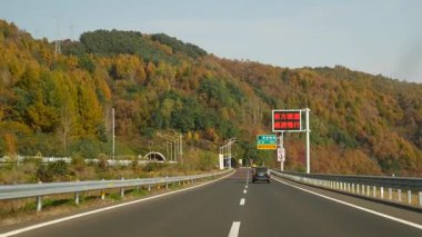 Kuzeydoğu Çin 'de sonbahar manzarası. Yüksek kaliteli FullHD görüntüler