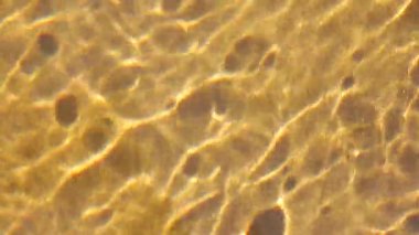 Kristal berrak su arka planı. Yavaş çekimde ışık yansıyan saf temiz su.