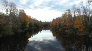 Sonbaharda Prens Edward Adası 'nın hava manzarası. Yüksek kalite 4k görüntü