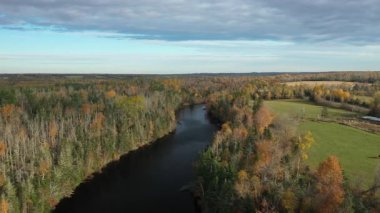 Sonbaharda Prens Edward Adası 'nın hava manzarası. Yüksek kalite 4k görüntü