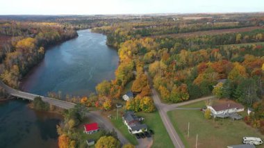 Sonbaharda Prens Edward Adası 'nın hava manzarası. Yüksek kalite 4k görüntü