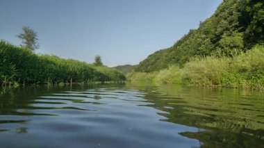 Temiz su, nehir boyunca akıyor. Kenarları yemyeşil, kuzeydoğu Çin 'de. Yüksek kalite 4k görüntü