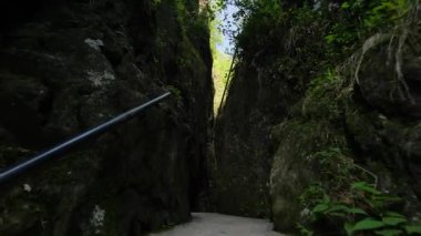 Nanxi Nehri 'nin Wenzhou, Zhejiang, Çin' deki turistik bölgesinde yürürken doğal manzara. Yüksek kalite 4k görüntü