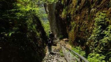 Nanxi Nehri 'nin Wenzhou, Zhejiang, Çin' deki turistik bölgesinde yürürken doğal manzara. Yüksek kalite 4k görüntü