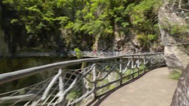 Nanxi Nehri 'nin Wenzhou, Zhejiang, Çin' deki turistik bölgesinde yürürken doğal manzara. Yüksek kalite 4k görüntü