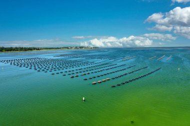 Kanada Prensi Edward Adası 'ndaki su çiftliğinin panoramik manzarası. Yüksek kalite fotoğraf