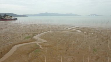 Çin 'in Wenzhou şehrindeki Yuhuan ilçesindeki sahil çamurlu düzlüklerin hava manzarası. Yüksek kalite 4k görüntü