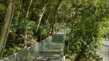  Nanxi Nehri 'nin Wenzhou, Zhejiang, Çin' deki doğal manzarası. Yüksek kalite 4k görüntü