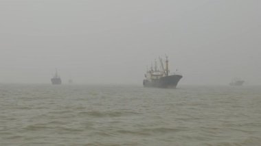 Taizhou, Zhejiang 'daki Yuhuan ilçesinde güzel kıyı manzaraları ve zengin deniz kültürü bulunur. Yüksek kalite 4k görüntü